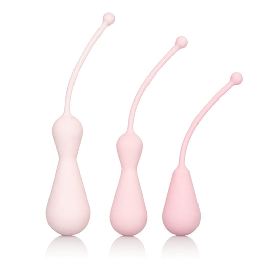 KIT INSPIRE WEIGHTED SILICONE KEGEL TRAINING